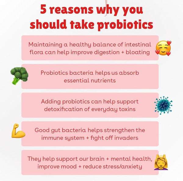 5 reasons why you should take probiotics today