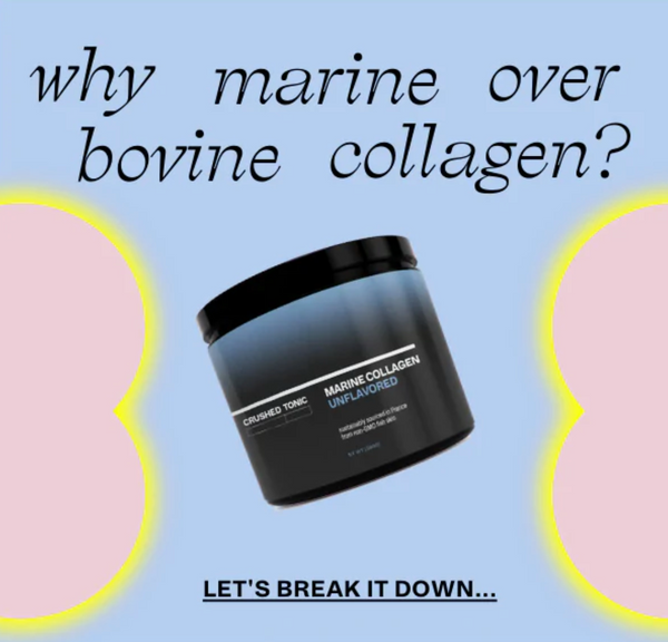 Why Marine Collagen Over Bovine Collagen?