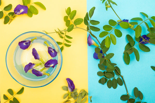 Should you Include Blue Butterfly Pea Flower in Your Skincare Routine?