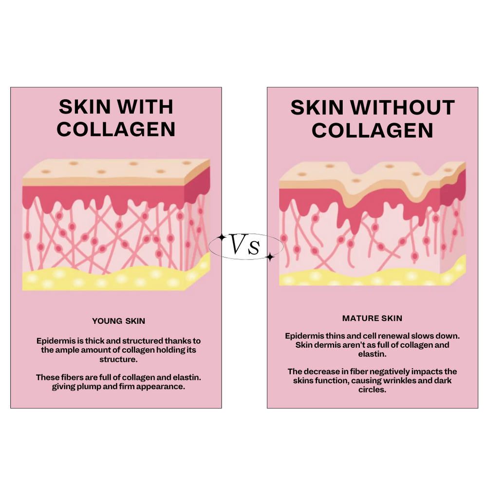 The image is a collage illustrating the effects of collagen on the skin.
